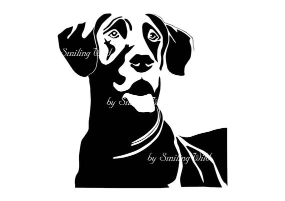 570x403 Great Dane Vector Graphic Art Printable Png Great Dane Instant Etsy