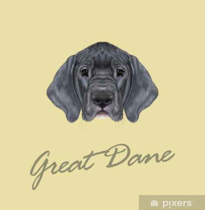 682x700 Vector Illustrated Portrait Of German Great Dane Puppy Wall Mural