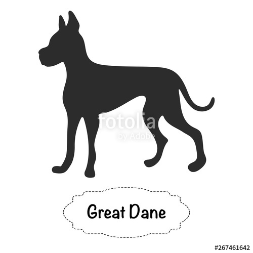 500x500 Vector Isolated Silhouette Of Great Dane Dog On White Background