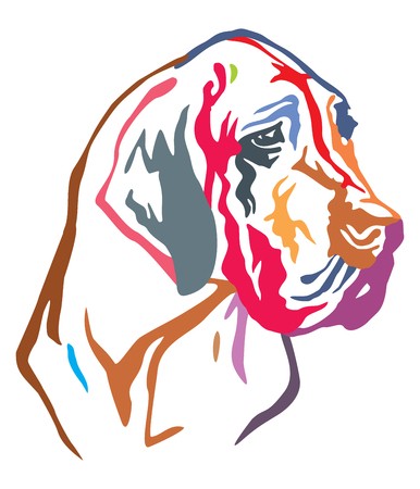 386x450 Colorful Decorative Portrait Of Dog Great Dane, Vector