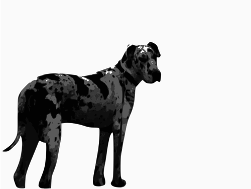 500x376 Great Dane