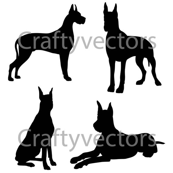 570x570 Great Dane Silhouettes Vector Products Silhouette Vector
