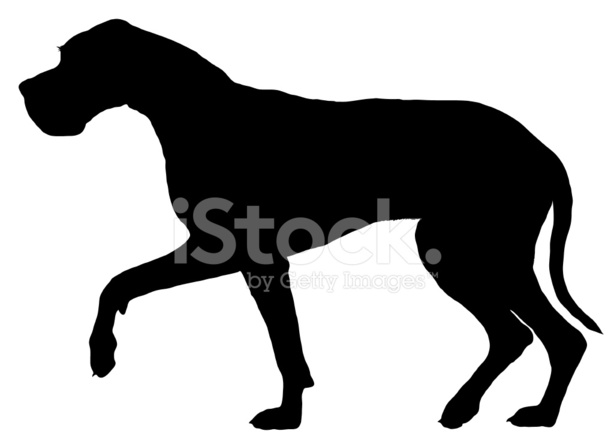614x440 Great Dane Stock Vector