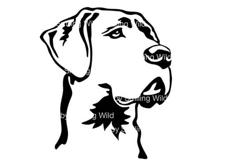 794x562 Great Dane Dog Clipart Great Dane Vector Graphic Art Etsy