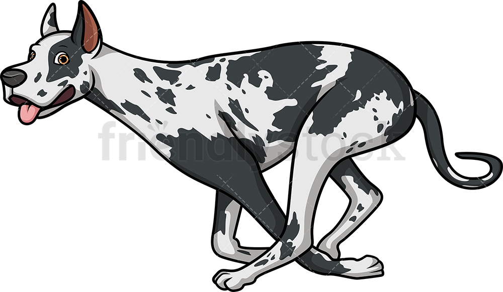 1000x581 Harlequin Great Dane Running Cartoon Clipart Vector