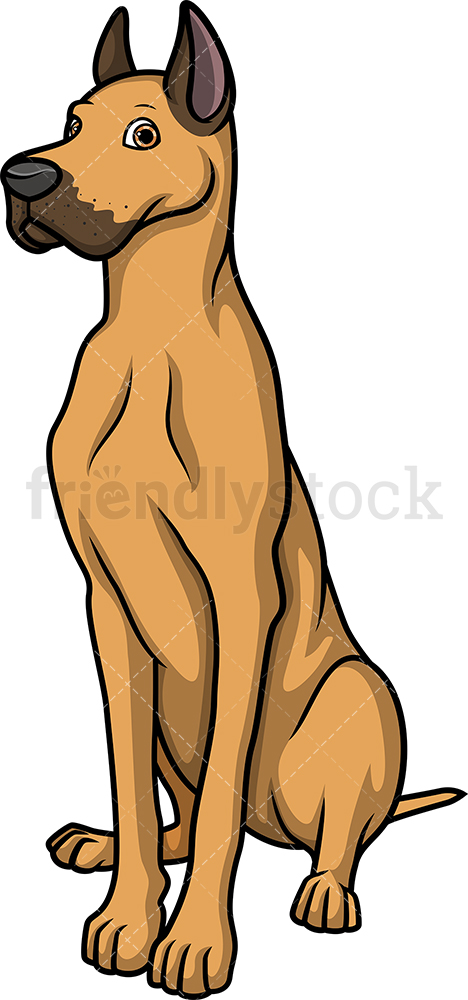 468x1000 Obedient Fawn Great Dane Cartoon Clipart Vector