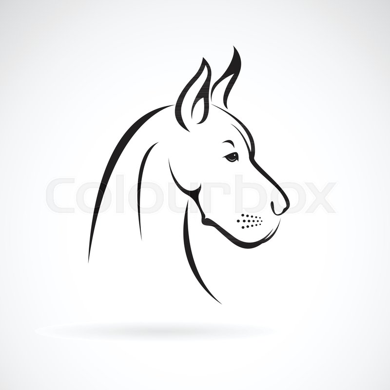 800x800 Vector Of A Dog Head