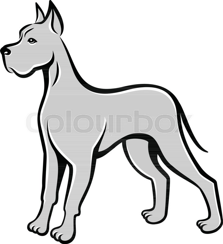 Great Dane Vector Art at Vectorified.com | Collection of Great Dane