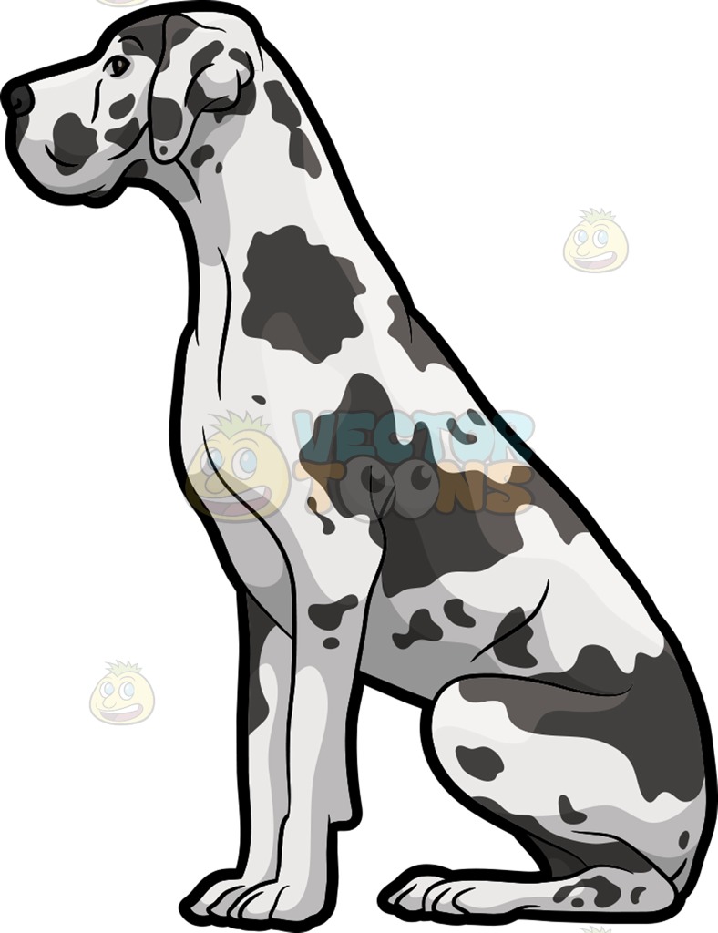 788x1024 Great Dane Clipart Desktop Backgrounds