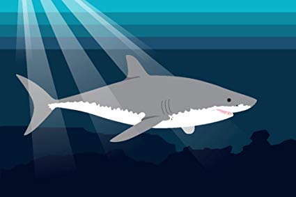 Great White Shark Vector