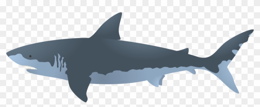 840x348 Great White Shark Bull Shark Clip Art