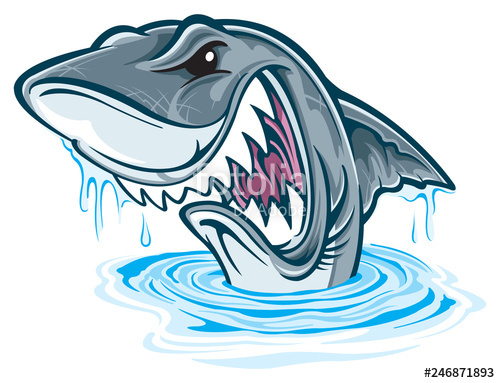500x383 Great White Shark Stock Image And Royalty Free Vector