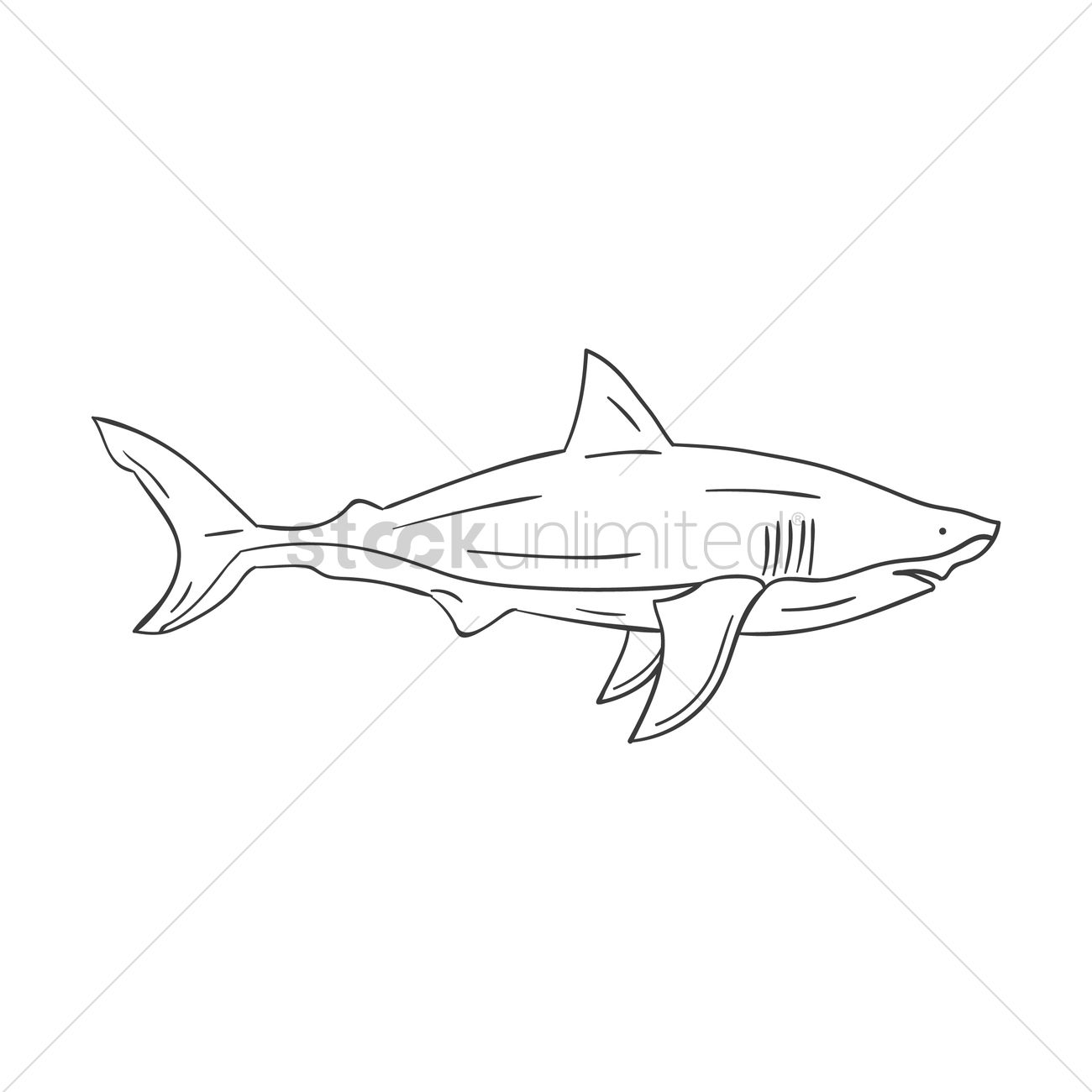 Great White Shark Vector at Vectorified.com | Collection of Great White