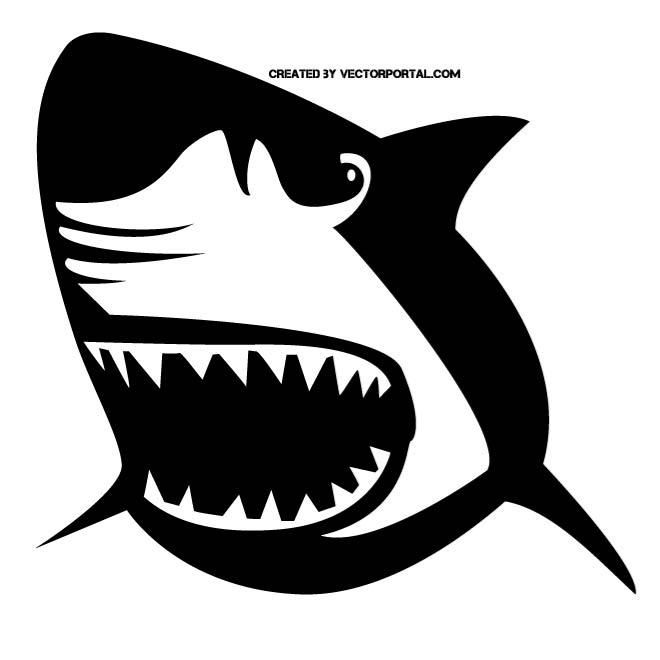 660x660 Great White Shark Vector Illustration Animal Vectors