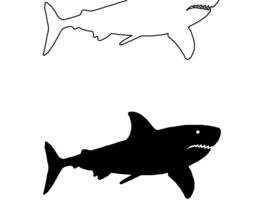 270x210 I Need Some Graphic Design For A Great White Shark Vector Freelancer