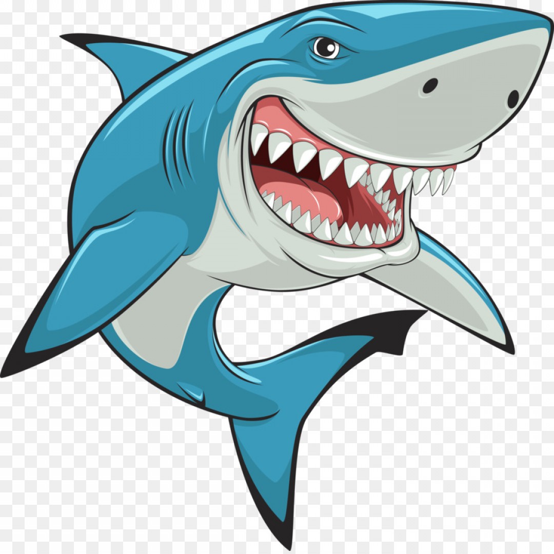 Download Great White Shark Vector at Vectorified.com | Collection ...