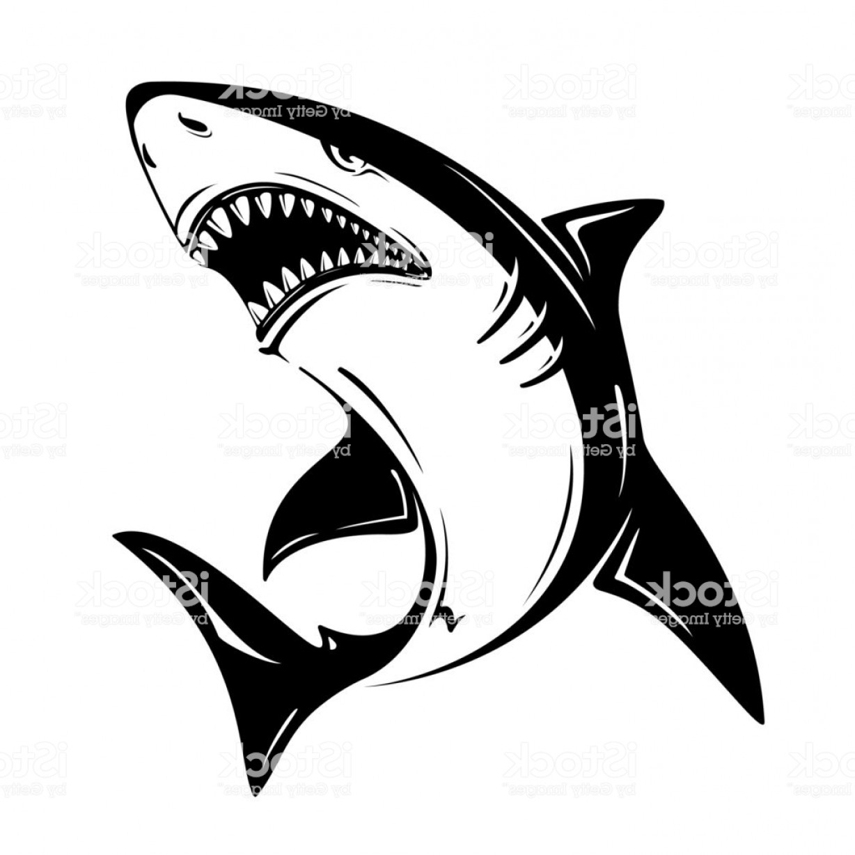 Great White Shark Vector at Vectorified.com | Collection of Great White ...