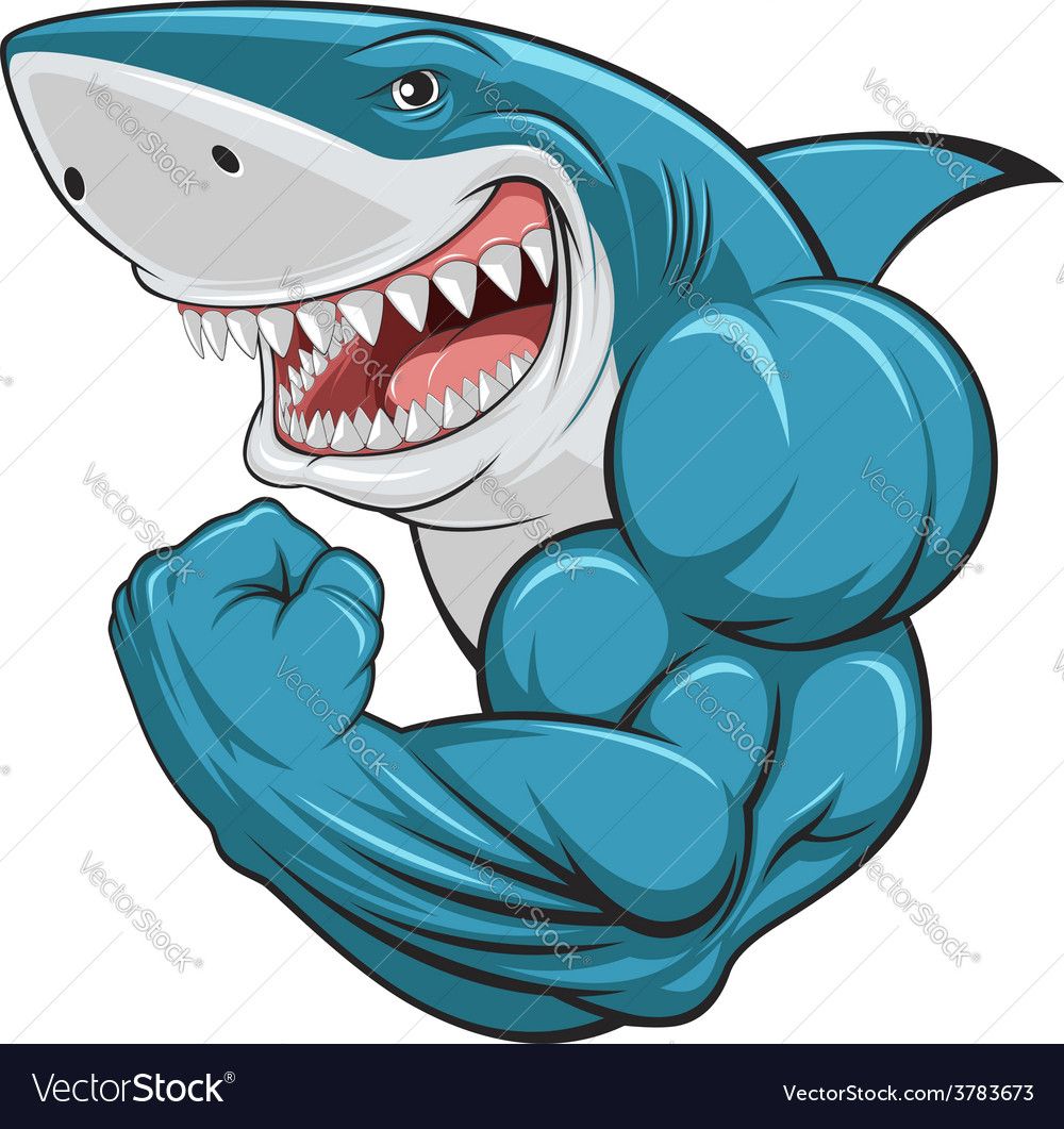 1000x1061 White Shark Vector Image