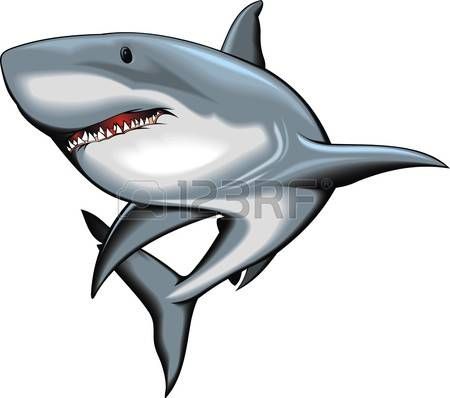 450x398 Great White Shark Nice Shark Isolated On The White Background