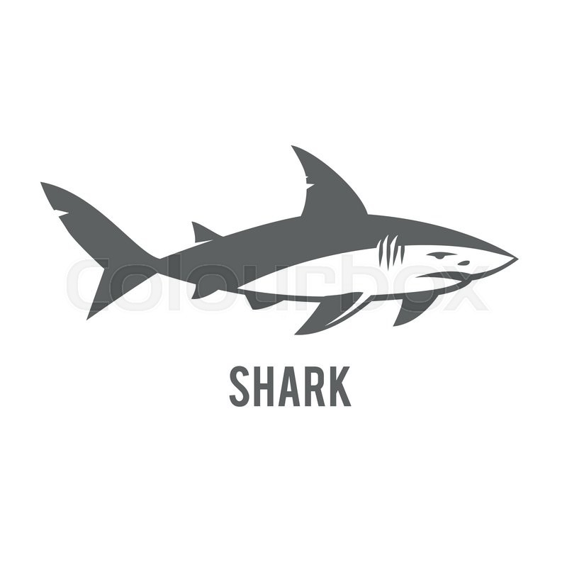 800x800 Angry Shark Vector Icon Great White Stock Vector Colourbox