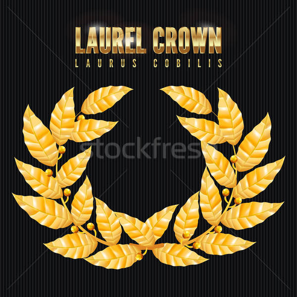 600x600 Laurel Crown Greek Wreath With Golden Leaves Vector Illustration