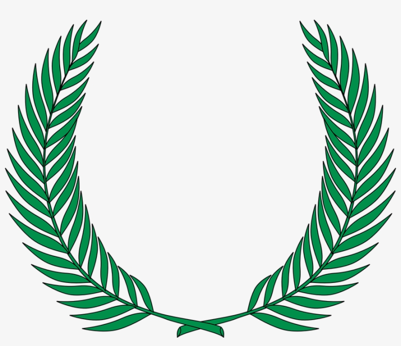 820x707 Leptosporangiate Fern Plant Clip Art