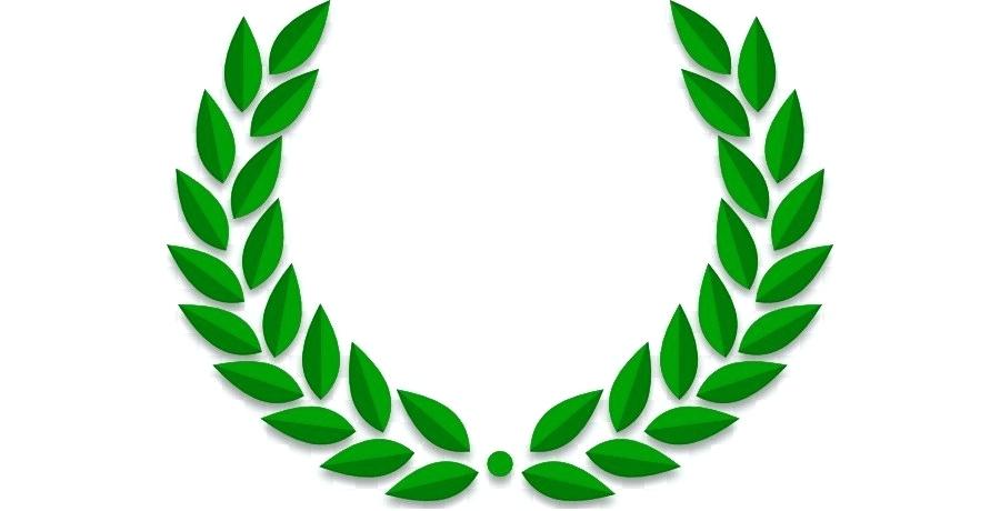 900x460 Olive Wreath Branch Tattoo Olympic Greek
