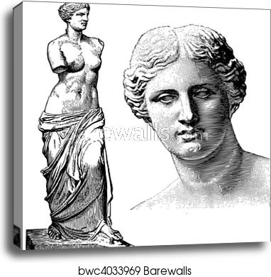 382x390 Vector Aphrodite Statue, Canvas Print Barewalls Posters Prints