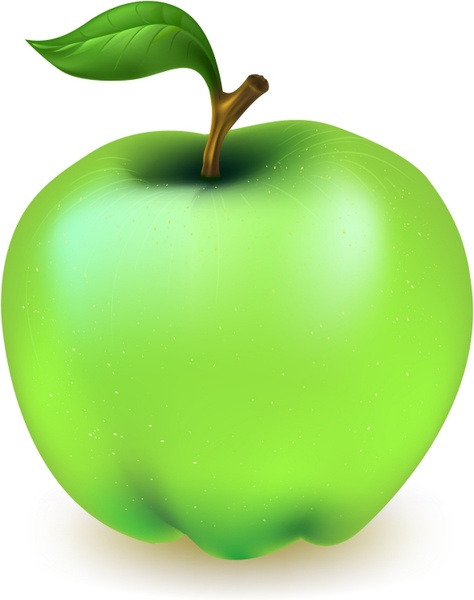 474x600 Green Apple Free Vector In Adobe Illustrator