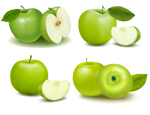 500x383 Green Apple With Slice Vectors Free Download