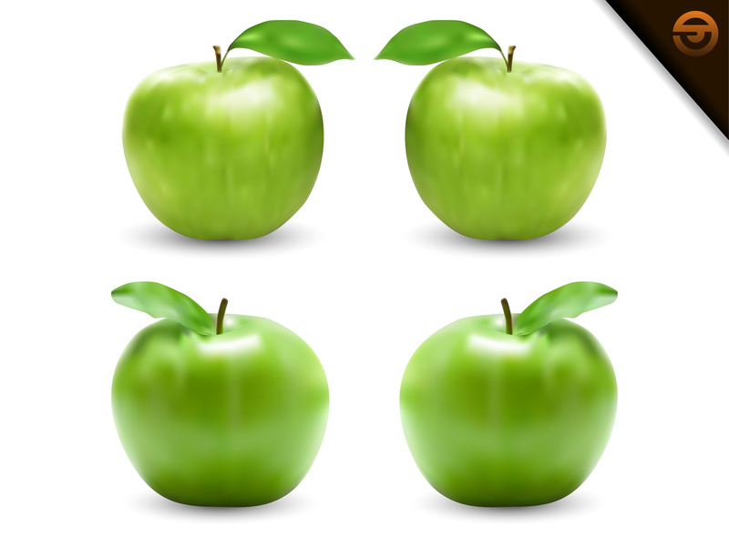 800x600 Realistic Green Apple Vector Illustration With Gradient Mesh