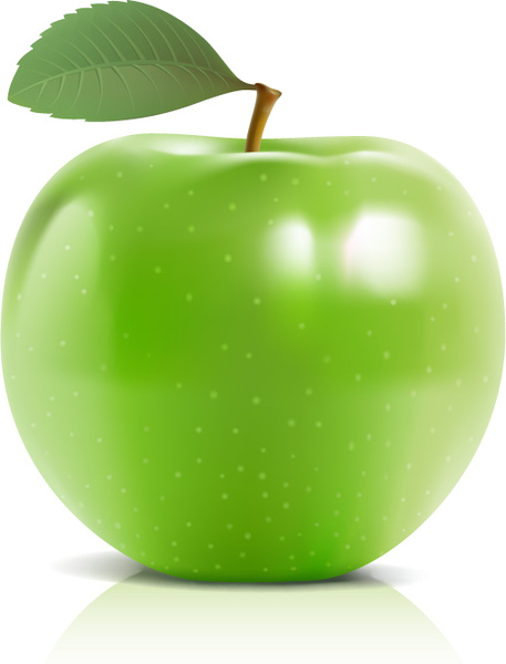 457x600 Shiny Green Apple Vector Free Vector In Encapsulated Postscript