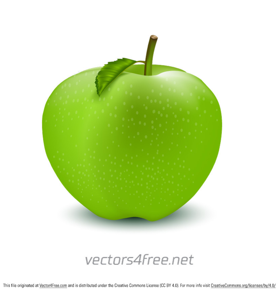 893x936 Free Green Apple Vector