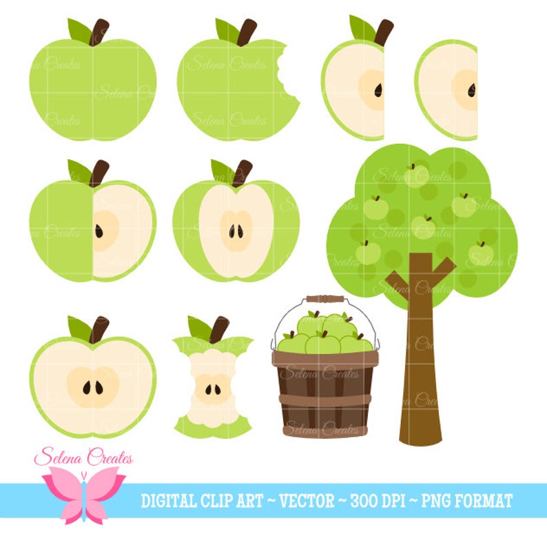 794x794 Green Apple Clipart Set Digital Clipart Apple Basket Apple Etsy