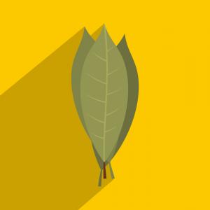 300x300 Green Bay Packers Dfx Vector Cut Createmepink