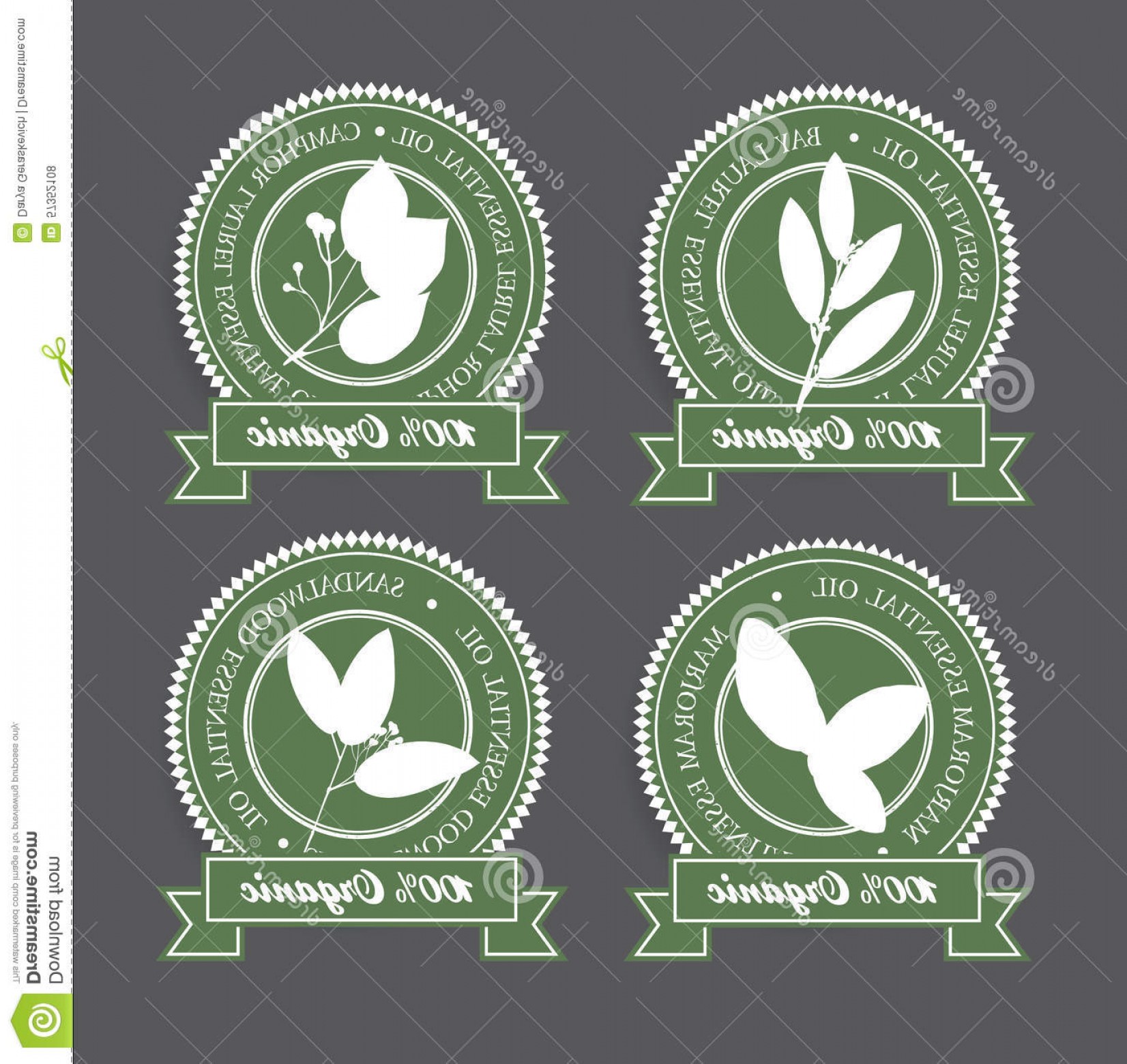 1652x1560 Stock Illustration Set Green Essential Oil Labels Bay Laurel