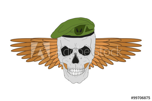 500x334 Skull In A Green Beret With Wings