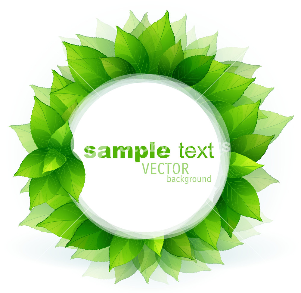 1000x974 Fresh Green Leaves Vector Border Royalty Free Stock Image