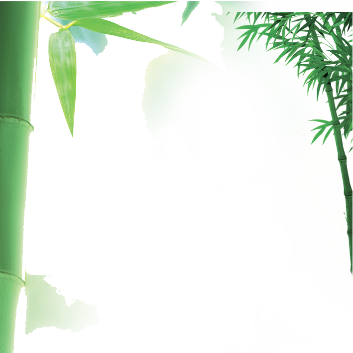 709x709 Hd Bamboo Vector Border