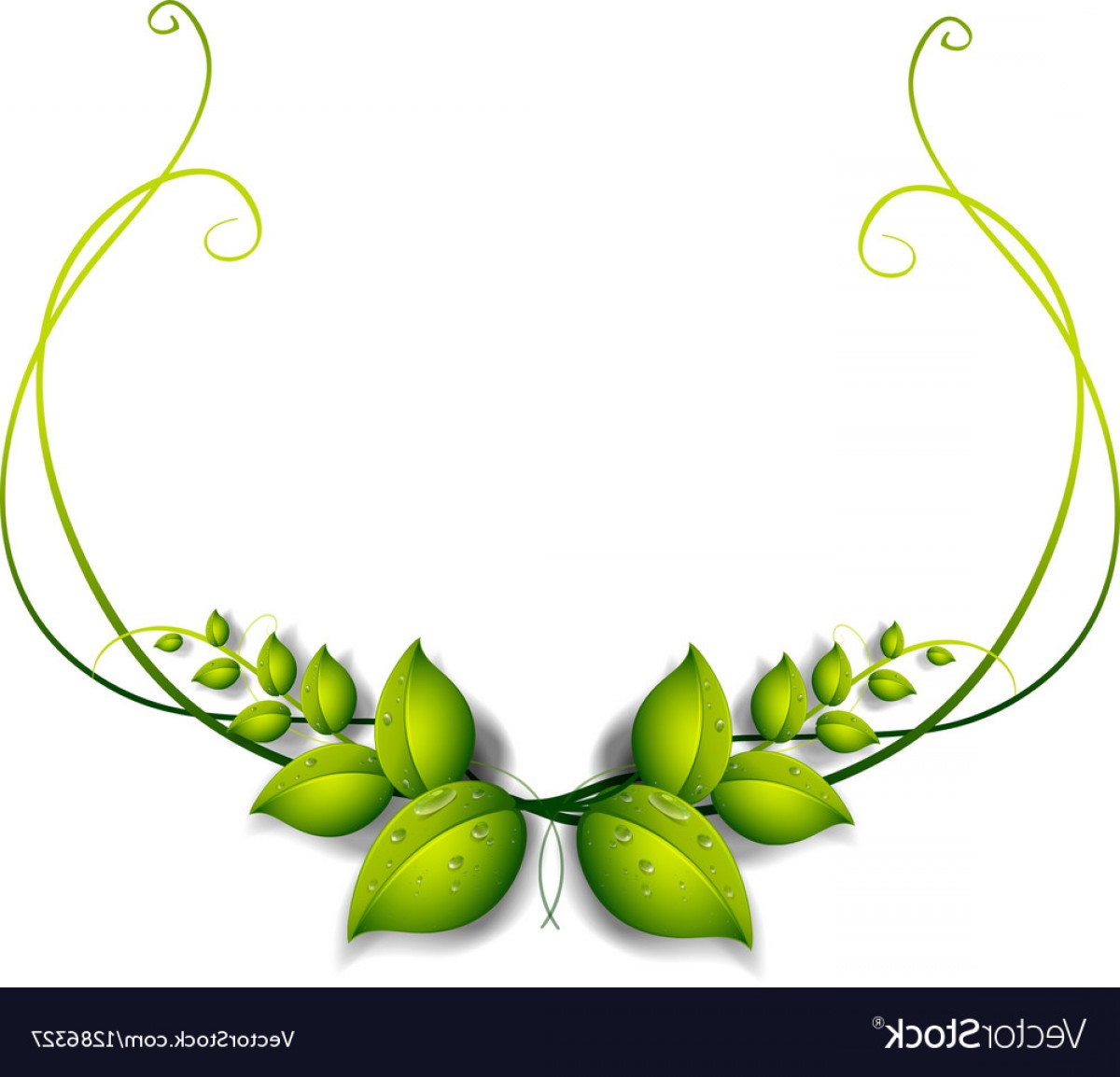 1200x1154 A Simple Leafy Border Vector Cqrecords
