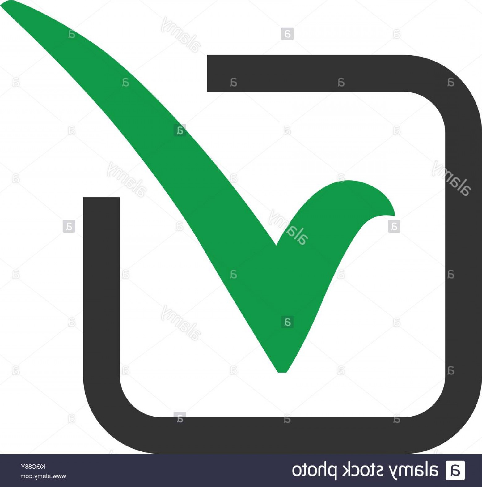 Green Check Mark Vector at Vectorified.com | Collection of Green Check ...