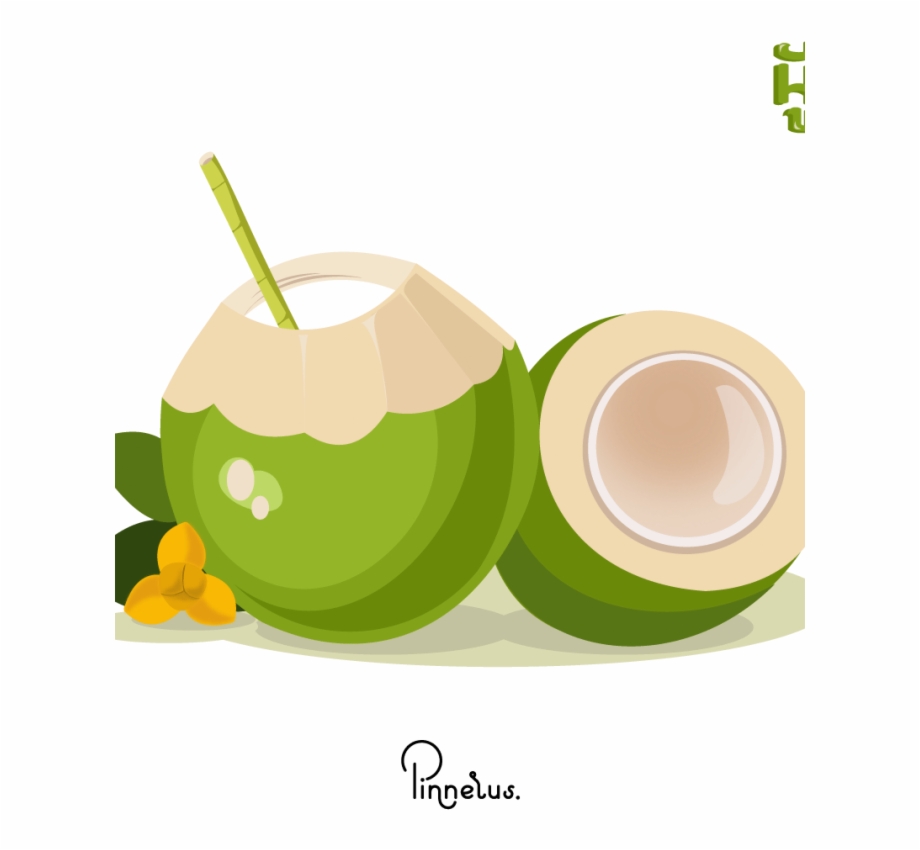 920x850 Coconut Vector