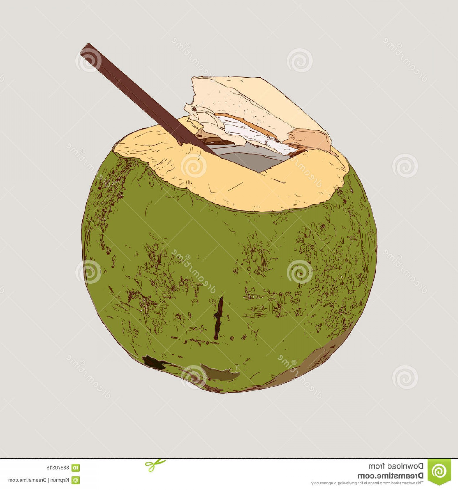 1560x1668 Coconut Vector Hoodamath