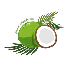 240x240 Coconut Vector Photos, Royalty Free Images, Graphics, Vectors