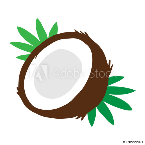 500x500 Coconut Vector Illustration Drawing, Coconut Cut In Half