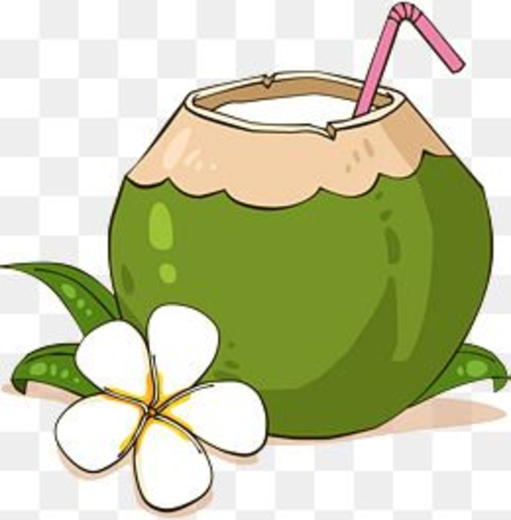 Green Coconut Vector at Vectorified.com | Collection of Green Coconut ...