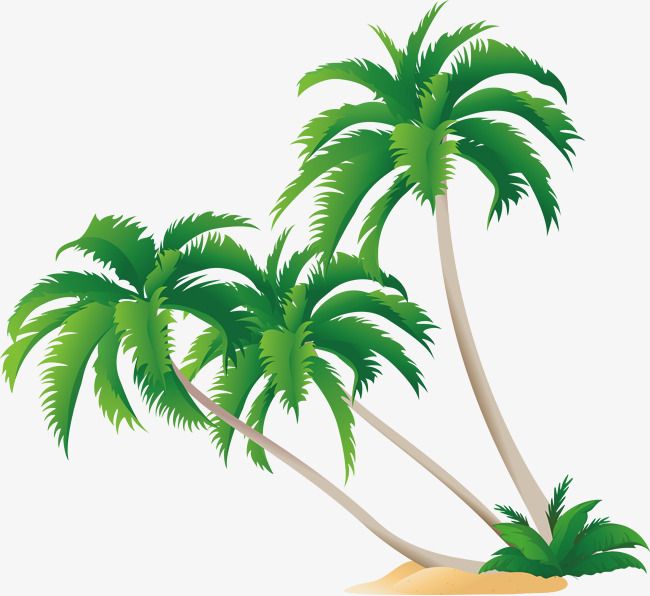 650x596 Green Coconut Tree Vector, Coconut Clipart, Tree Clipart, Green