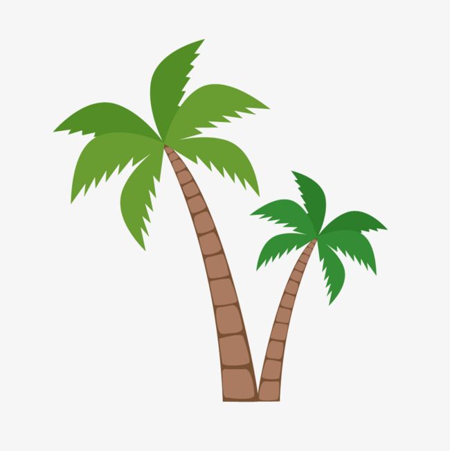650x651 Green Coconut Trees, Green Vector, Coconut Vector, Coconut Clipart