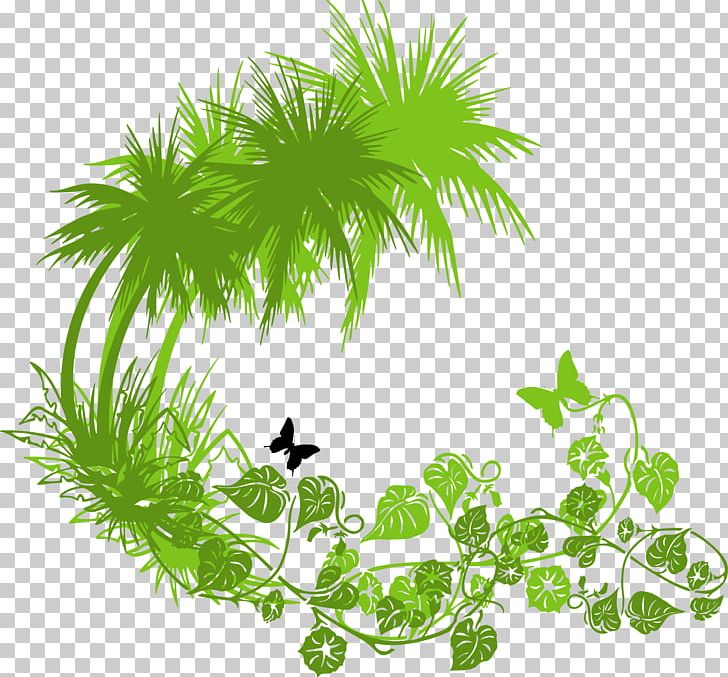 728x677 Green Png, Clipart, Branch, Butterfly Vec, Christmas Tree, Coconut