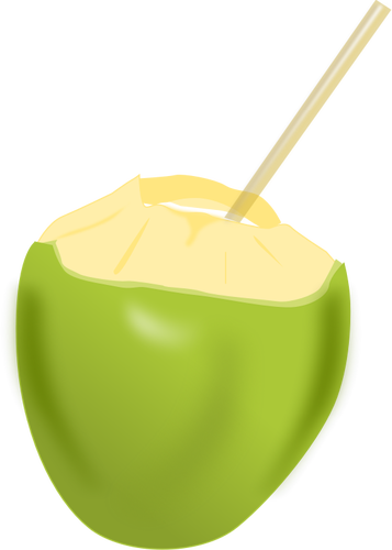 357x500 Green Coconut Vector Image